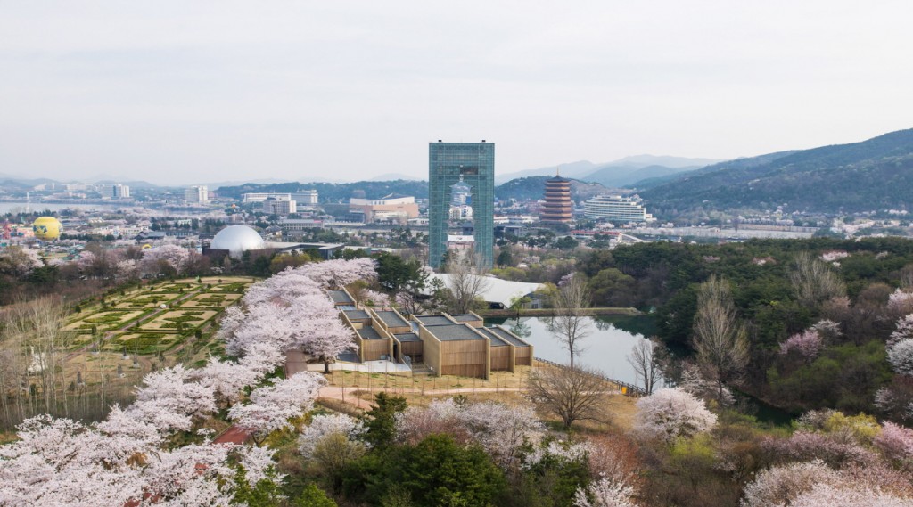 경주타워와 벚꽃길-2