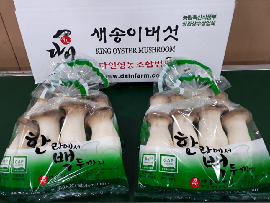 2. 경주 새송이 버섯, 최대 물량 홍콩 수출길 올라 (2)