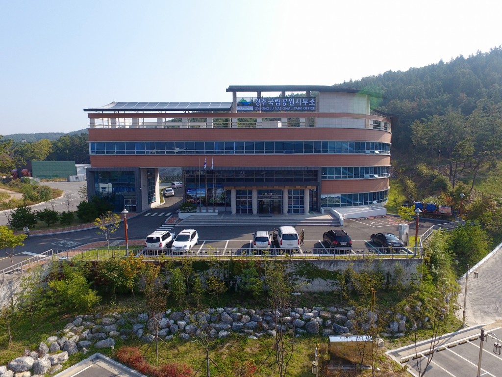 DCIM100MEDIADJI_0009.JPG