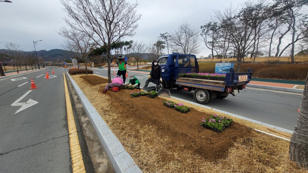 공사 직원들이 안동문화관광단지에서 초화류를 식재하고있다