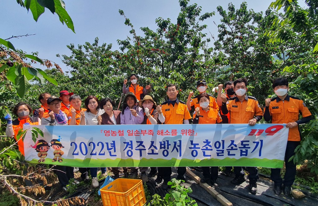 경주소방서 농촌일손돕기 단체 사진