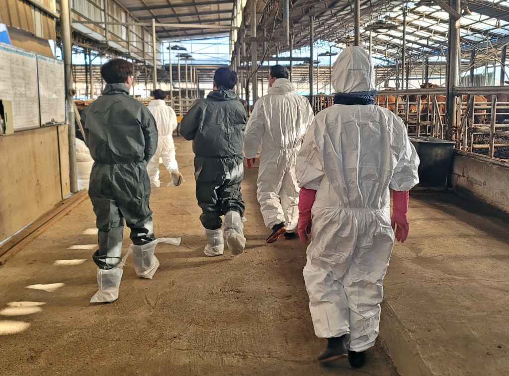 2. 경주 21개 천년한우 농장 신규 HACCP 인증 획득